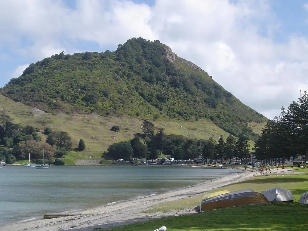 Hostel Seagulls Guesthouse Mount Maunganui